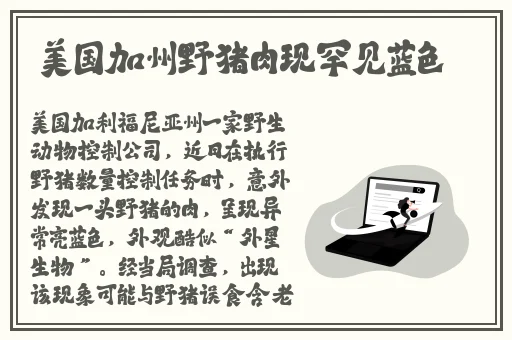一区二区三区国产精华液区别
